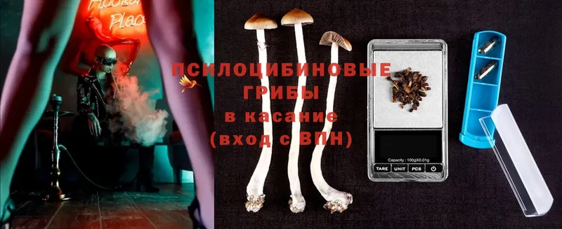 Псилоцибиновые грибы Magic Shrooms  гидра ТОР  Арамиль 